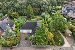 Foto Wespendief 4 Tollebeek 08.jpg